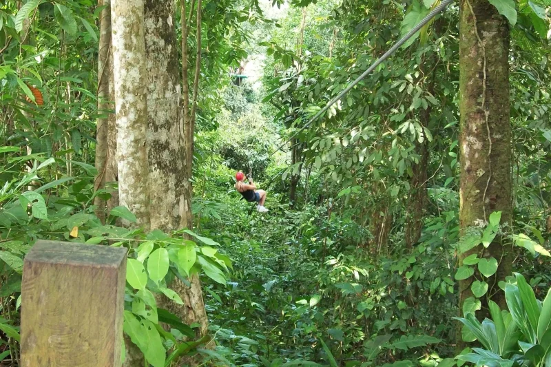 zip line (1)